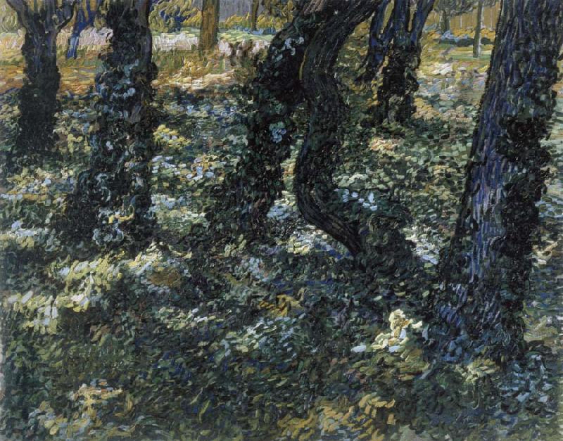Vincent Van Gogh Undergrowth china oil painting image